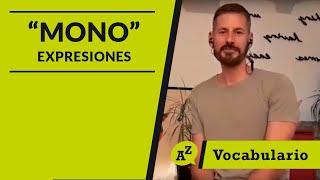 ¿Mono?- On-Español - Learn Spanish Online