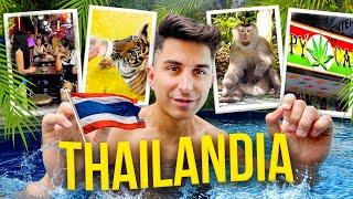 E COME STARE SU GTA Viaggio in THAILANDIA fra Tigri Scimmie e il Lato Selvaggio di Patong Beach