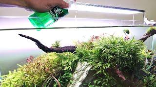 How to feed your planted tank with liquid fertiliser