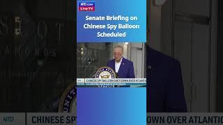 Senate Briefing on Chinese Spy Balloon Scheduled US to Update G8 - NTD Good Morning