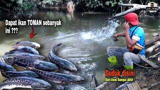 Di Luar Nalar  Cukup Nunggu Di Satu Titik Hasil Mancing Seperti Nangkap Di Kolam