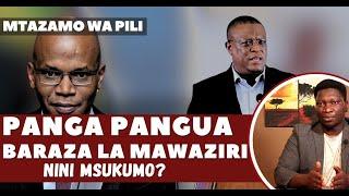 Panga Pangua ya Kila Mara Baraza la Mawaziri Nini Msukumo?  Mtazamo wa Pili