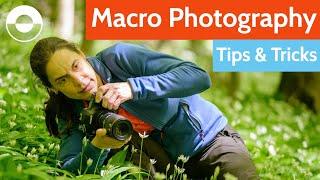 Macro Photography Tips and Tricks Camera Settings Equipment Diffuser + Mirror Hack