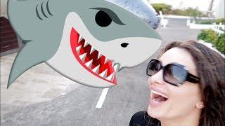 Attacked by a Shark ??? -  قرش