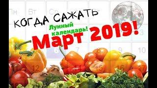 Лунный посевной календарь на март 2019  Когда сажать семена в марте 2019?