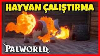 PALWORLD HAYVAN ÇALIŞTIRMAPokemon Oyunu Nasıl Oynanır  Palworld Türkçe 