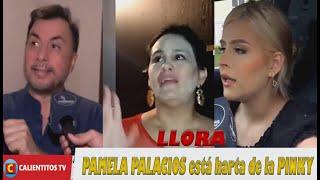 PAMELA PALACIOS llora porque esta cansada que ARIANNA MEJÍA haga M  a sus HIJOS