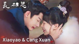 “夭玹”超长感情线回顾  Review of Xiaoyao & Cang Xuan【长相思 第一季 Lost You Forever S1】