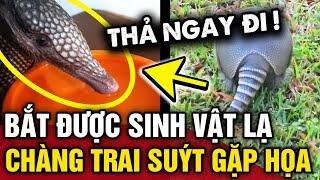 Phát hiện SINH VẬT LẠ trong vườn chàng trai BẮT VỀ NUÔI không biết NGUY HIỂM CẬN KỀ  Tin 3 Phút