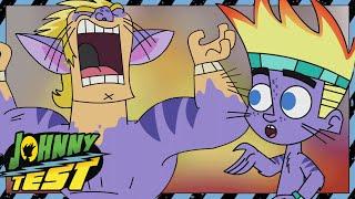 Cat Scratched Johnny  Johnny Test  Full Episodes  Cartoons for Kids