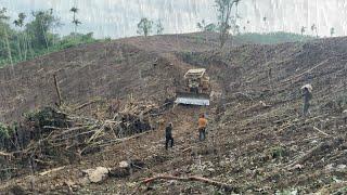 Extreme Weather Bulldozers Build Mountain Roads during Heavy Rainy Weather