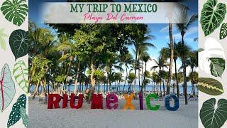My Trip To Mexico Playa Del Carmen ️