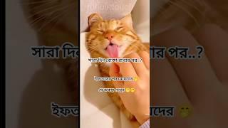 সারাদিন রোজার  পরে#funny #ramadan #ruhulittouch #shorts