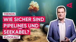 Seekabel Wie sicher ist die Infrastruktur unter Wasser?  LOOKAUT