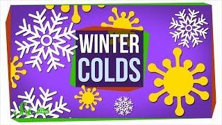 Why Do We Get Colds When Its Cold?