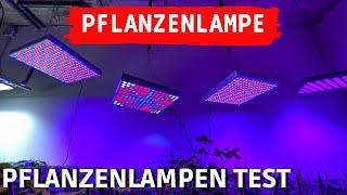 TEST Profi LED Pflanzenlampe vs. billiges Amazon Grow Light - LED Pflanzenlichter Vergleich