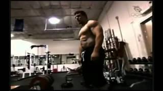 Frank MIR TraininG.ᴴᴰ