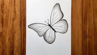 How to draw beautiful butterfly  Pencil sketch for beginners  Karabi arts academy