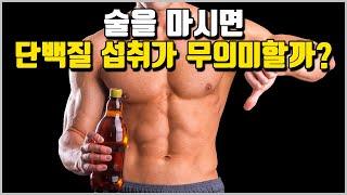 단백질 섭취시 알코올의 영향