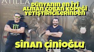 EFSANE ALMAN ÇOBAN KÖPEKLERİ VE SİNAN ÇİNİOĞLU