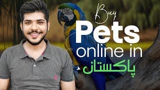 Best Website To Buy Pets In Pakistan How to buy pets from online