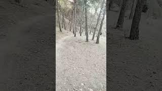 Hoy es viernes y el cuerpo lo sabe toca MTB del gueno