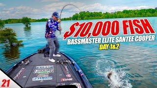 $10000 Santee Cooper Bass - 2023 Bassmaster Elite Santee Cooper Lakes Day 1&2 - UFB S3 E21