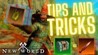 New World - BIS Tips and Tricks