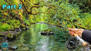 Trout Fishing in a RAINFOREST Fly Fishing Washington