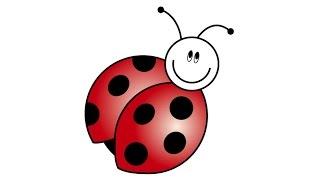 How to Draw a Ladybug in Adobe Illustrator