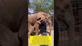 Noor Jehan Moving After Treatment - Vets Proposed to Move Her from Karachi Zoo