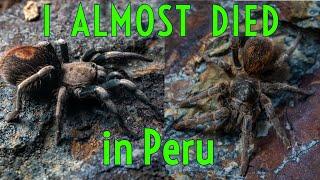 I Nearly DIED Filming Tarantulas in the Andes