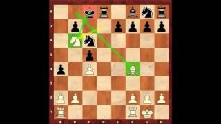 Chess for Beginners. Chess Openings #6. Sicilian Defence. Opening Examples. Eugene Grinis. Chess