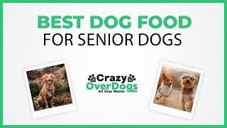 Best Dog Food For Senior Dogs in 2021