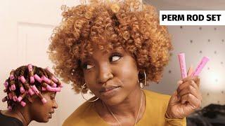 Perm Rod on Blown Out Hair  Natural Hair