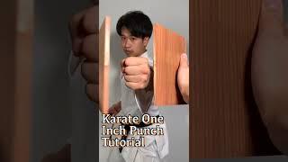 Karate One Inch Punch Tutorial