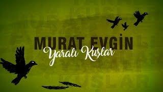 Murat Evgin - Yaralı Kuşlar - Omer Sueños Robados Lyrics  Pájaros heridos Subtitulos Español 