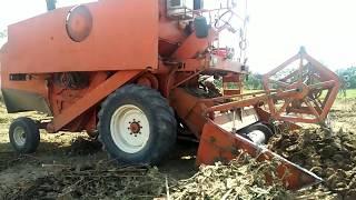 Sunflower Machine Working In Rural Area Of Punjab  Sunflower Seeds Machine 2020