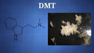 Dimethyltryptamine DMT What You Need To Know