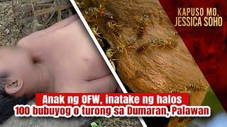 Anak ng OFW inatake ng halos 100 bubuyog o turong sa Dumaran Palawan  Kapuso Mo Jessica Soho