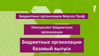 КонсультантПлюс Бюджетные организации