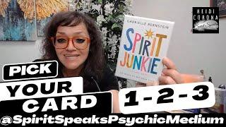 18+ Pick Your Card - 1 2 or 3 Timeless Guidance - SPIRIT JUNKIE ORACLE DECK