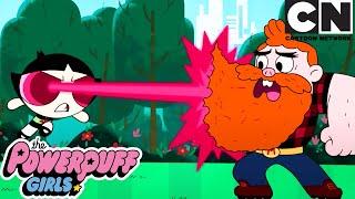 Buttercup Man Up Compilation  The Powerpuff Girls  Cartoon Network