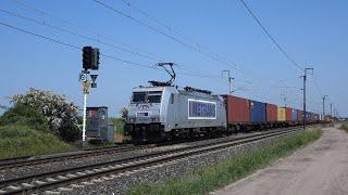 Vlaky  Trains - Kamenné Zboží Trať  Track 231 - 25.5.2023