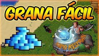 DINHEIRO FÁCIL NO RAPID RESPAWN NO TIBIA - DUAS OPÇÕES DE HUNT