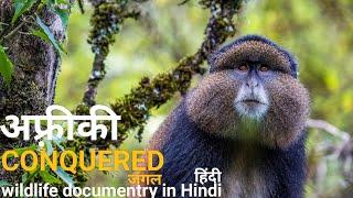 The cunquered forest - हिंदी डॉक्यूमेंट्री  Africa wildlife documentry in Hindi