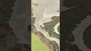 Aerial footage captures Dorset oil leak