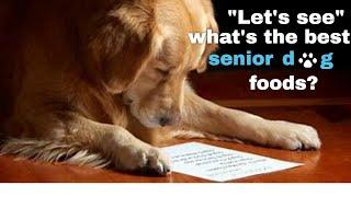 Best senior dog foods