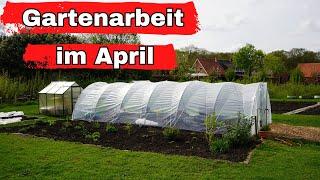 Gartenarbeit April  Stecklinge Hochbeete Jungpflanzen & Gemüsegarten