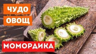 МОМОРДИКА ГОРЬКАЯ ДЫНЯ.  КАК ПРИГОТОВИТЬ МОМОРДИКУ ВКУСНО И БЫСТРО.  МОМОРДИКА ПОЛЕЗНЫЕ СВОЙСТВА.